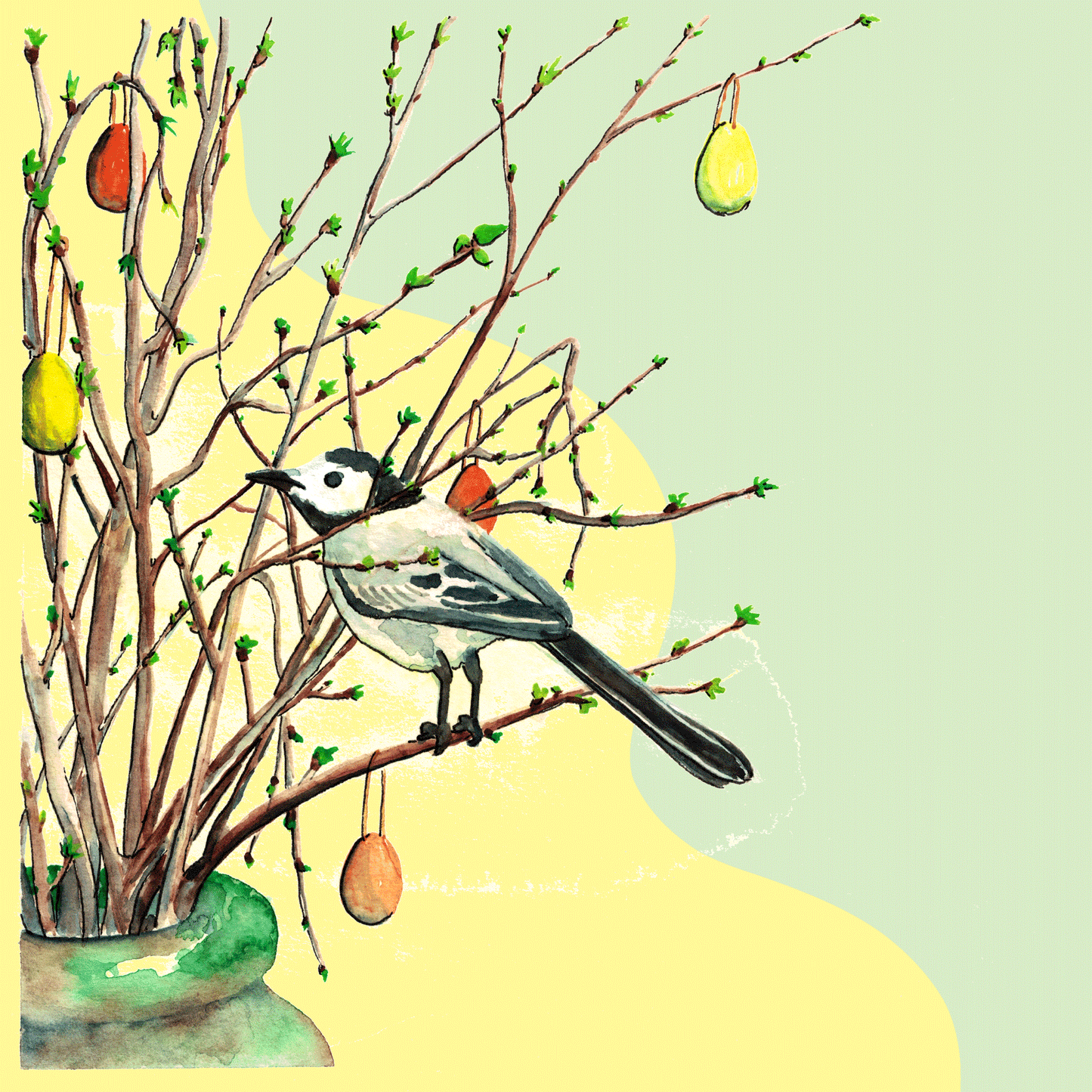 Sädesärla, Petite kort